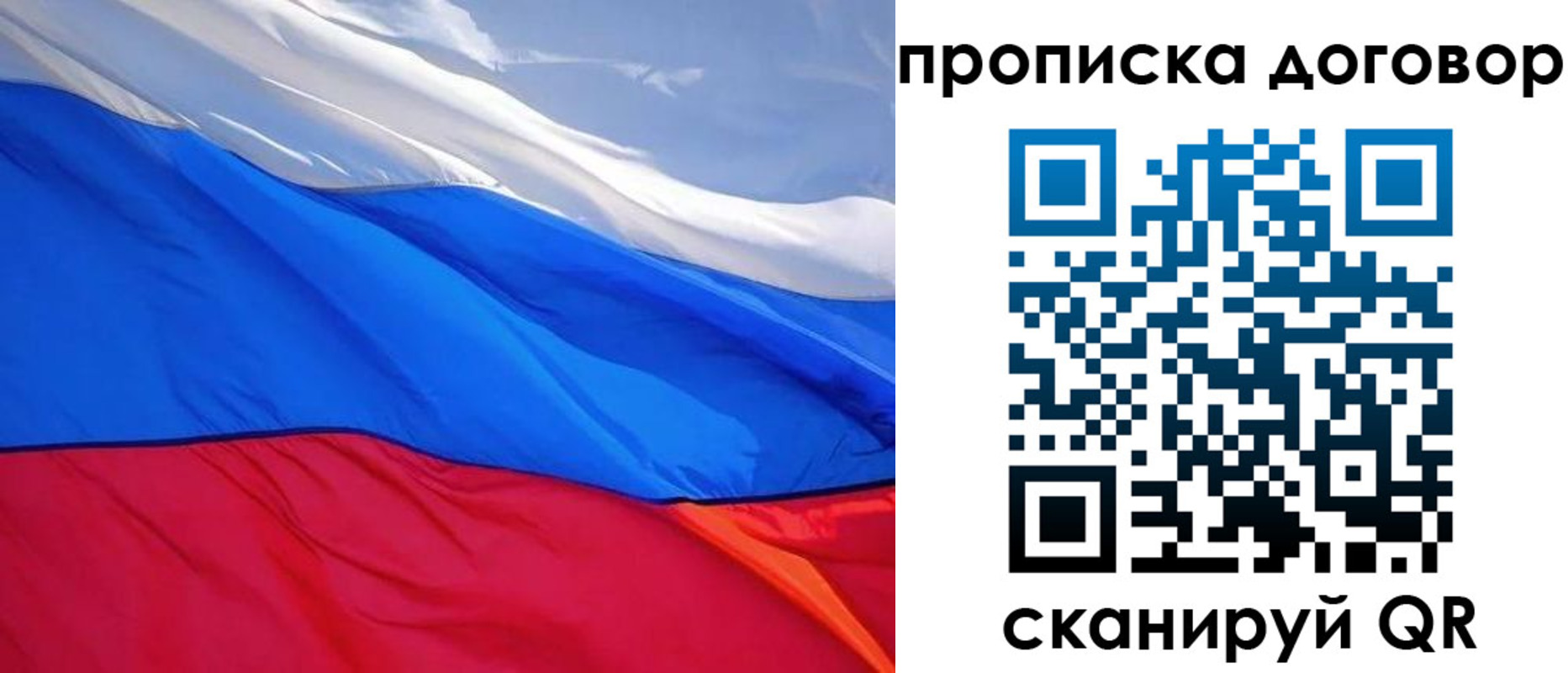 прописка гарантия в Скопине